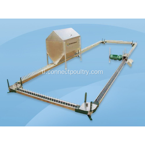 Breeder chain feeding System